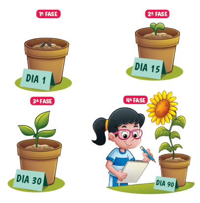 Imagem: Ilustração. 1ª fase – dia 1: Vaso de flor marrom com duas sementes sobre a terra. 2ª fase – dia 15: Vaso de flor com broto germinando verde. 3ª fase – dia 30: Vaso de flor com planta com folhas verdes longas. 4ª fase – dia 90: Vaso de flor com uma flor amarela na ponta. Ao lado, menina de cabelo longo preto e óculos de armação quadrada rosa, vestindo camiseta azul, segurando um papel e um lápis. Fim da imagem.