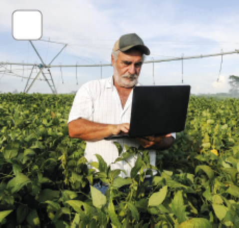 Imagem: Fotografia. Homem de cabelo curto grisalho e barba longa, com boné preto, vestindo camiseta branca. Está sobre uma plantação extensa com sistema de irrigação. Ele segura um notebook aberto. Fim da imagem.