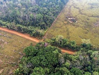 Imagem: Fotografia. Vista aérea de floresta com áreas de desmatamento demarcada retangular. Fim da imagem.