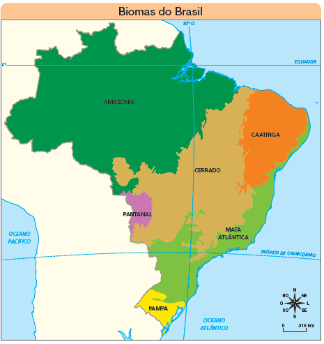 Imagem: Mapa. Biomas do Brasil. Destaque de mapa brasileiro presentando os biomas. NA região norte, parte nordeste há a Amazônia. Na região centro-oeste há pequena aérea do pantanal. Na região centro-oeste, sudeste e nordeste há cerrado. Na região sul, sudeste, centro-oeste e litoral nordeste há mata atlântica. Na região nordeste há caatinga. Na região sul há pequena área de pampa. No canto inferior direito há uma rosa dos ventos indicando norte, nordeste, leste, sul, sudeste, sudoeste, oeste e noroeste. Abaixo, escala de 0 a 315 km. Fim da imagem.