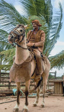 Imagem: Fotografia. Homem de chapéu com aba dobrada arredondada, vestindo casaco marrom, colete e calça marrom. Está montado em um cavalo marrom. Atrás há cerca de madeira e uma palmeira. Fim da imagem.