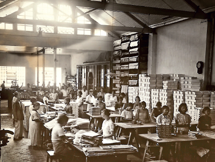 Imagem: Fotografia. Mulheres trabalhando em linha de produção de um galpão com mesas e caixas de papelão. Fim da imagem.