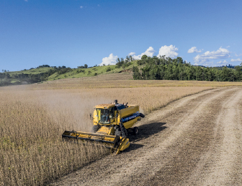 Imagem: Fotografia. Colheitadeira passando por um campo de plantação seca. Fim da imagem.