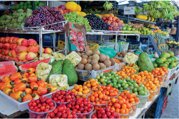 Imagem: Fotografia. Bancada de frutas diversas expostas em prateleiras e bandejas. Fim da imagem.