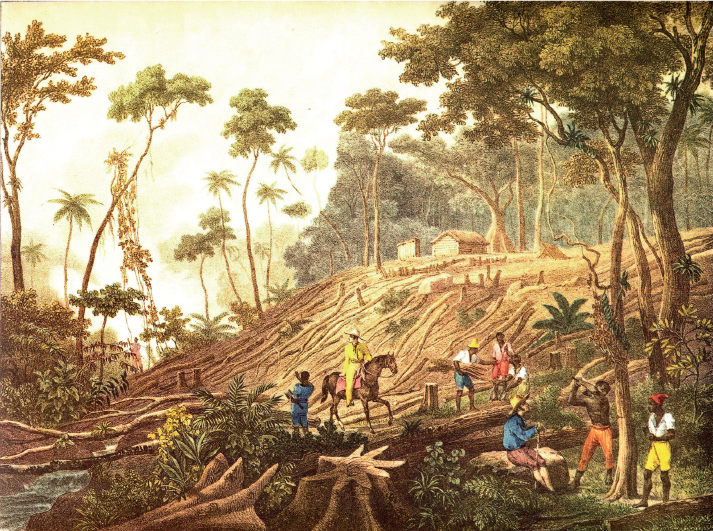 Imagem: Ilustração. Homens trabalhando em corte de árvores de uma floresta em morro. Ao fundo há uma casa de madeira pequena e poucas árvores. Fim da imagem.