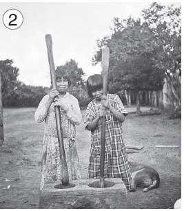 Imagem: Fotografia. 2: Duas meninas indígenas de cabelo médio, vestindo vestido xadrez, estão segurando um pilão cada.  Fim da imagem.