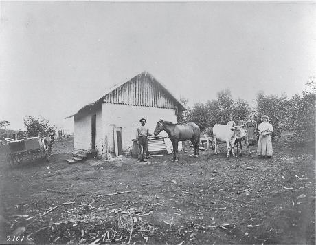 Imagem: Fotografia em preto e branco. Casa de alvenaria com telhado e alicerce superior do telhado de madeira. À frente, há mulheres e homens segurando cordas amarradas a um cavalo e dois bois. Fim da imagem.