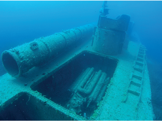 Imagem: Fotografia. Vista de submarino naufragado coberto por algas.   Fim da imagem.