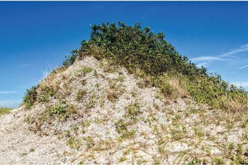 Imagem: Fotografia. Vista de morro pequeno com vegetação ao topo.   Fim da imagem.