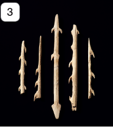 Imagem: Fotografia. 3: Arpões formados por ossos com pequenos dentes e ponta.   Fim da imagem.