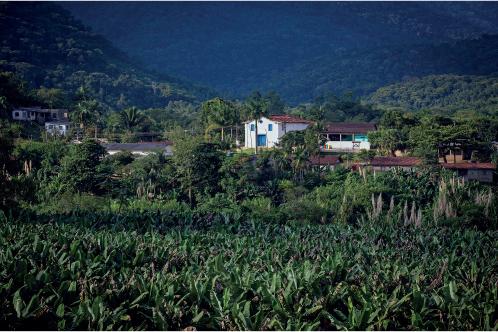 Imagem: Fotografia. Vista de campo de plantação com casas entre vegetação. Ao fundo há montanhas cobertas por florestas.   Fim da imagem.