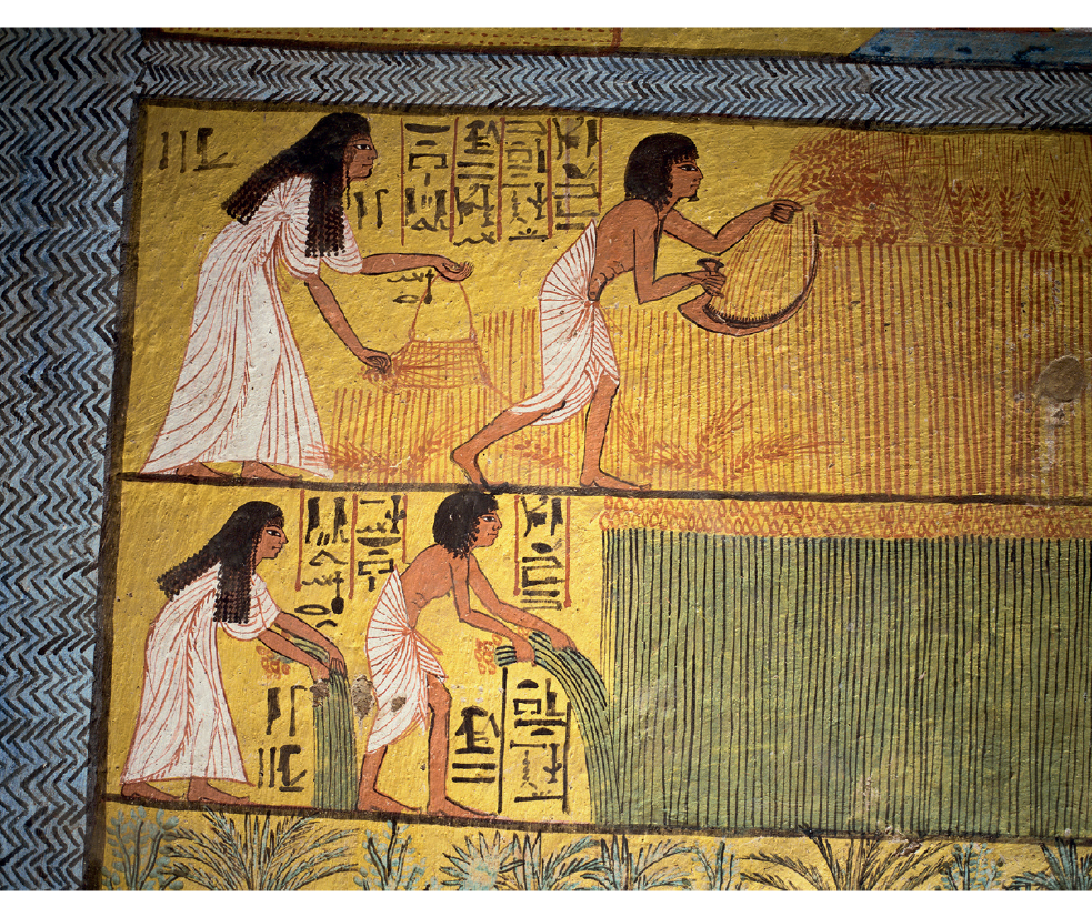 Imagem: Fotografia. Pintura de homens e mulheres trabalhando em campo de plantação com hieróglifos entre a imagem.   Fim da imagem.