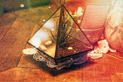 Imagem: Fotografia. Um vaso de vidro com formato de pirâmide. Dentro há plantas e pedras.  Fim da imagem.