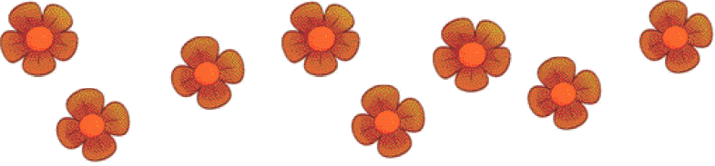 Imagem: Ilustração. Cinco flores laranja com quatro pétalas e três flores laranja com cinco pétalas.  Fim da imagem.