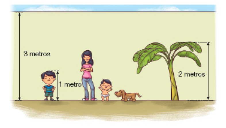 Imagem: Ilustração. À esquerda, uma reta do chão até o céu indicando 3 metros. Ao lado, um menino está sorrindo com as mãos na cintura (1 metro). No centro, uma mulher maior que o menino sorri com os braços cruzados. Ao seu lado, um bebê com fralda, menor que o menino, sorri com os braços levantados e um cachorro menor que o bebê observa. À direita, uma árvore com 2 metros. Fim da imagem.