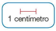 Imagem: Ilustração. Uma reta vermelha e abaixo, a informação: 1 centímetro.   Fim da imagem.