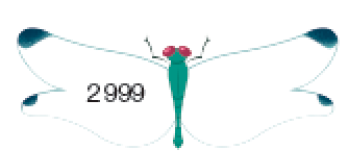 Ilustração. Uma libélula com asas grandes. Na asa à esquerda, o número 2.999 e na asa à direita, espaço para resposta.