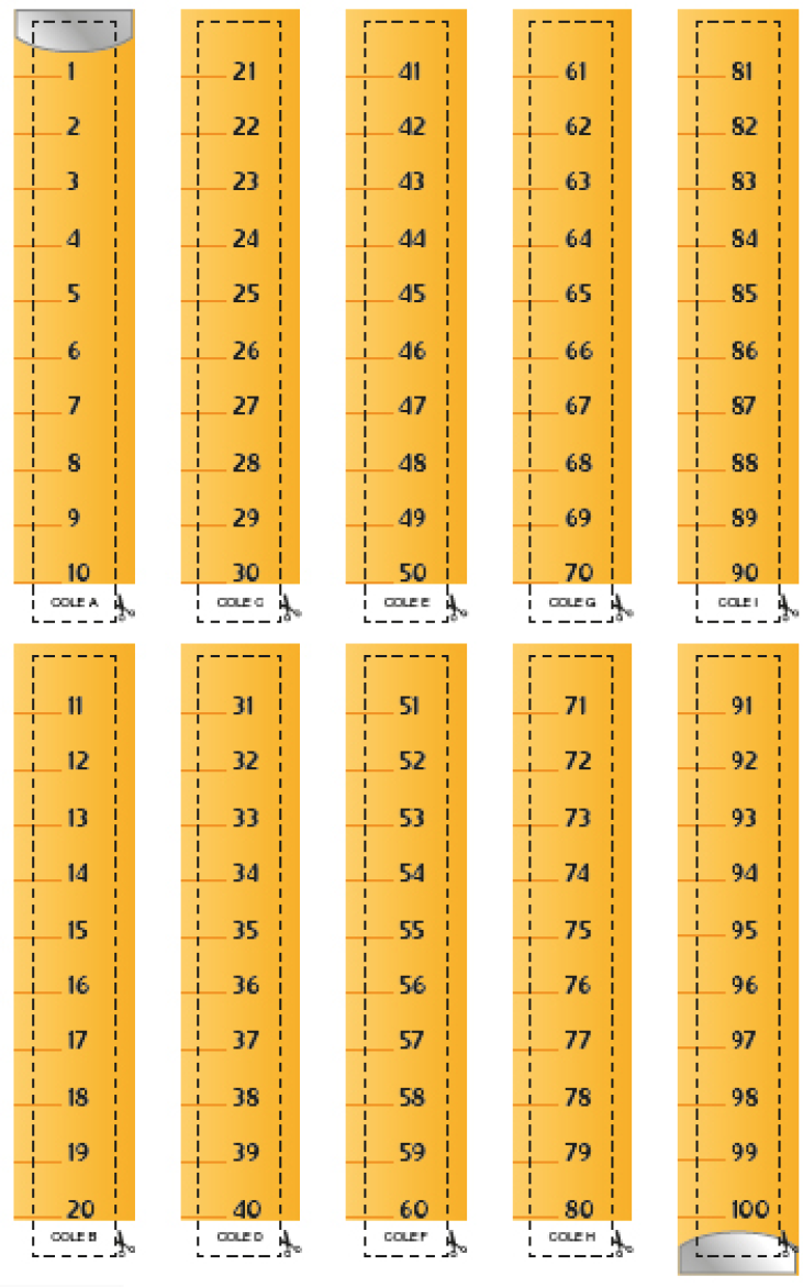 Ilustração. Fita métrica dividida em 10 partes, com 10 marcações cada alternando a medida de 1 em 1 com linhas pontilhadas em volta para recortar. 1. Na ponta superior da fita, ponta cinza e o número 1. Na ponta inferior, o número 10. Abaixo, 2.  Na ponta superior da fita, o número 11 e na ponta inferior, o número 20. Abaixo, aba com a informação: COLE B.3. Na ponta superior da fita, o número 21 e na ponta inferior, o número 30. Abaixo, aba com a informação: COLE C.4.  Na ponta superior da fita, o número 31 e na ponta inferior, o número 40. Abaixo, aba com a informação: COLE D.5. Na ponta superior da fita, o número 41 e na ponta inferior, o número 50. Abaixo, aba com a informação: COLE E.6. Na ponta superior da fita, o número 51 e na ponta inferior, o número 60. Abaixo, aba com a 7. Na ponta superior da fita, o número 61 e na ponta inferior, o número 70. Abaixo, aba com a informação: COLE G.8. Na ponta superior da fita, o número 71 e na ponta inferior, o número 80. Abaixo, aba com a informação: COLE H.9. Na ponta superior da fita, o número 81 e na ponta inferior, o número 90. Abaixo, aba com a informação: COLE I.10. Na ponta superior da fita, o número 91 e na ponta inferior, o número 100. Abaixo, ponta cinza.