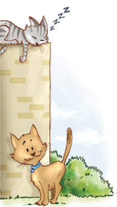 Ilustração. Um gato cinza está deitado sobre um muro e dormindo. Abaixo, um gato marrom está sorrindo.