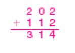 Resposta: Conta de adição na vertical. Acima, o número 202. Em seguida, sinal de adição, e o número 112. Abaixo, traço horizontal e o resultado: 314.