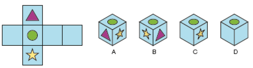 Imagem: Ilustração. Planificação. Quatro quadrados enfileirados. No segundo há um círculo verde. Acima dele, um quadrado com um triângulo roxo e abaixo, um quadrado com uma estrela amarela.  Ao lado, quatro cubos. A. Um cubo com um círculo verde no topo. Na lateral à esquerda, um triângulo roxo e à direita, uma estrela amarela. B. Um cubo com um círculo verde no topo. Na lateral à esquerda, uma estrela amarela e à direita, um triângulo roxo.  C. Um cubo com um círculo verde no topo. Na lateral à esquerda, vazio e à direita, uma estrela amarela. D. Um cubo com um círculo verde no topo. Na lateral à esquerda e à direita, vazios.   Fim da imagem.