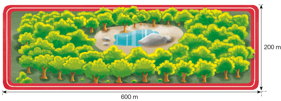 Imagem: Ilustração. Vista aérea de um parque com várias árvores. No centro há um lago e uma pedra. Em volta há uma pista com 200 m de largura e 600 m de comprimento. Fim da imagem.