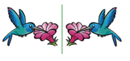 Imagem: Ilustração 2. Duas imagens iguais e invertidas com uma reta vertical no meio. Um beija-flor azul com o bico em uma flor rosa.   Fim da imagem.