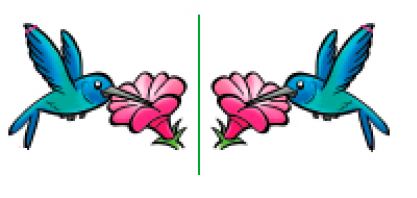 Imagem: Ilustração 2. Duas imagens iguais e invertidas com uma reta vertical no meio. Um beija-flor azul com o bico em uma flor rosa.   Fim da imagem.