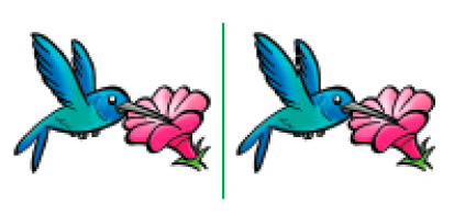 Imagem: Ilustração 1. Duas imagens iguais com uma reta vertical no meio. Um beija-flor azul com o bico em uma flor rosa.   Fim da imagem.