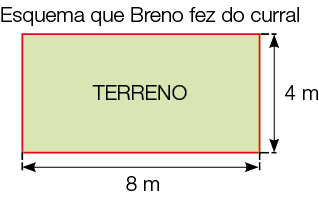 Imagem: Ilustração. Esquema que Breno fez do curral: um terreno com formato de retângulo com 4 m de largura e 8 m de comprimento.  Fim da imagem.