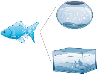 Imagem: Ilustração. Peixe azul.  Ao lado, Aquário arredondado. Aquário retangular.   Fim da imagem.