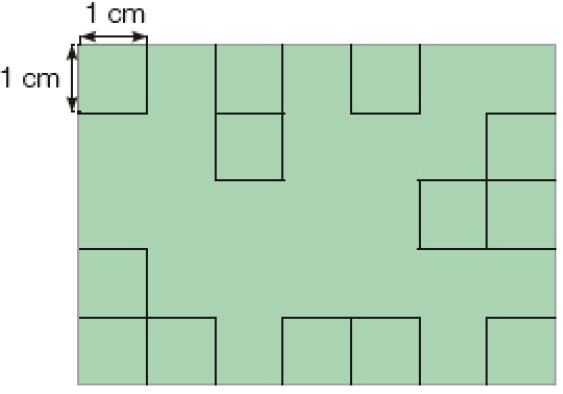 Ilustração. retângulo com quadradinhos medindo 1 cm de comprimento e 1 cm de largura, ocupando sete colunas e cinco fileiras.