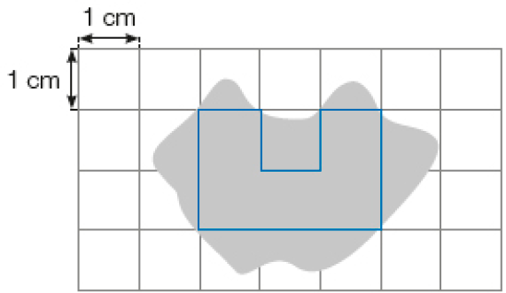 Ilustração. malha quadriculada. Cada quadradinho mede 1 cm de comprimento e 1 cm de largura. No centro há uma mancha ocupando quinze quadradinhos. No meio da mancha, cinco quadradinhos estão destacados em azul.