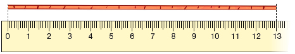 Imagem: Ilustração. Uma corda esticada sobre uma régua. A ponta esquerda está sobre o número 0 e a ponta direita sobre o número 13.   Fim da imagem.