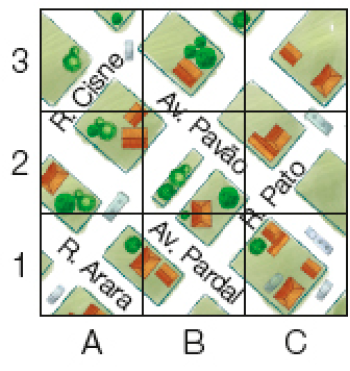 Imagem: Ilustração. Malha quadriculada com três colunas (A, B, C) e três fileiras (1, 2, 3).  A Rua Arara ocupa a coluna A1.  A Rua Cisne ocupa as colunas A2 e A3.  A Avenida Pardal ocupa as colunas B1 e A2.  A Avenida Pavão ocupa as colunas A3, B2 e C2.  A Rua Pato ocupa as colunas C2 e B1.  Fim da imagem.