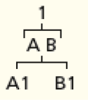 Imagem: Esquema. À esquerda, na parte superior, o número 1. Abaixo, as letras A, B. Em seguida, as combinações: A1, B1.   Fim da imagem.