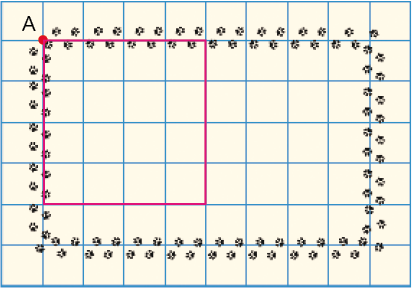 Imagem: Ilustração. Malha quadriculada com dez colunas e sete fileiras. No quadrado da primeira coluna e primeira fileira, o ponto A. Ao redor há patas de cachorro. Resposta: À direita do ponto A há quatro linhas, em seguida, vira para a direita e quatro linhas para baixo. Vira para direita, quatro linhas para direita. Vira para a direita e quatro linhas para cima, até o ponto A.   Fim da imagem.