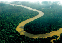 Imagem: Fotografia. Vista aérea de um rio sinuoso com vegetação ao redor.  Fim da imagem.
