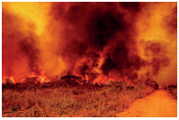 Imagem: Fotografia c). Uma floresta com muitas chamas e grande fumaça. Fim da imagem.