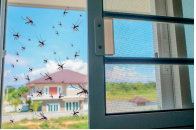 Imagem: Fotografia h). Uma janela, do lado de fora, há vários insetos.  Fim da imagem.