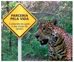 Imagem: fotografia de uma onça pintada, ao lado uma placa com o texto: PARCERIA PELA VIDA.  Fim da imagem.