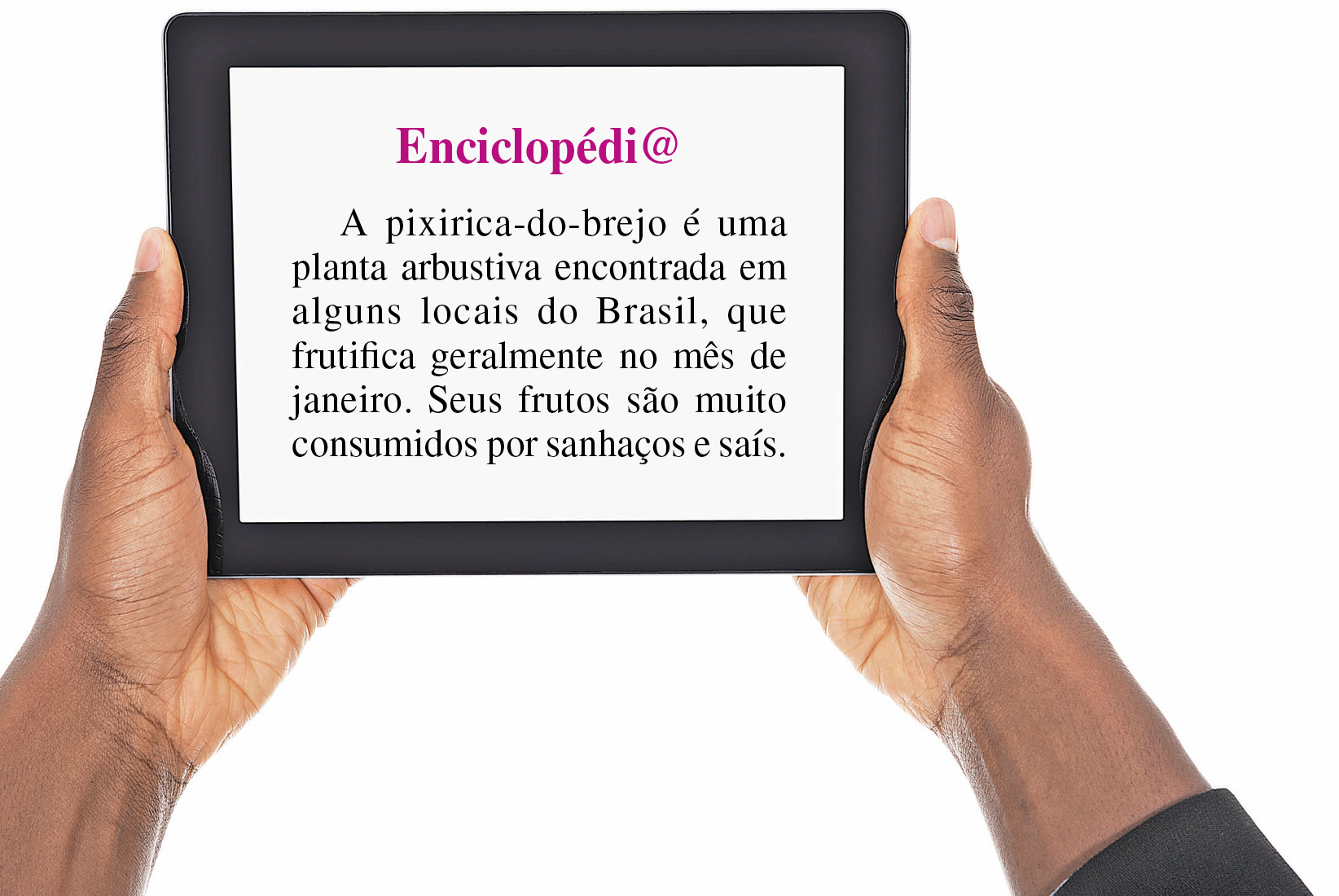 Fotografia. Destaque para as mãos de uma pessoa segurando um tablet na horizontal. Na tela, o texto: Enciclopédi@. A pixirica-do-brejo é uma planta arbustiva encontrada em alguns locais do Brasil, que frutifica geralmente no mês de janeiro. Seus frutos são muito consumidos por sanhaços e saís.