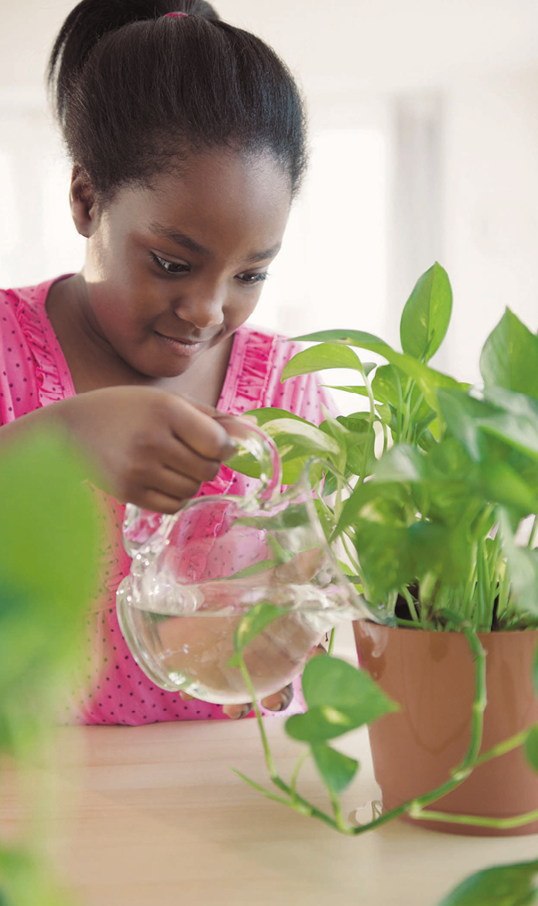 Fotografia. Menina com o cabelo preso e camiseta rosa. Ela segura uma jarra de vidro para regar uma planta que está em um vaso na sua frente.