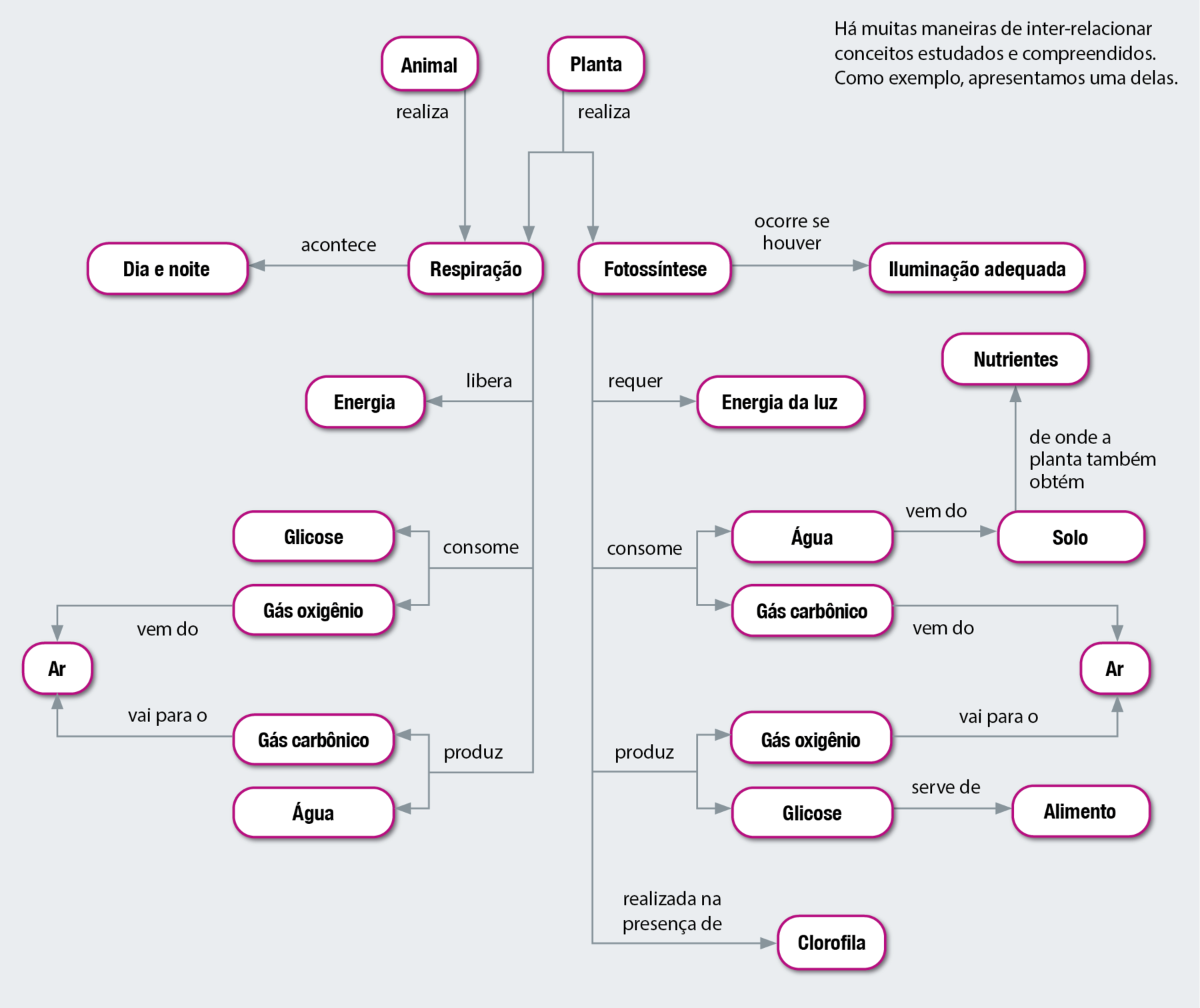 Fluxograma. Animal realiza: respiração. Planta realiza: respiração e fotossíntese. Respiração acontece: dia e noite. Libera: energia. Consome: glicose e gás oxigênio que vem do ar. Produz: gás carbônico, que vai para o ar, e água. Fotossíntese ocorre se houver: iluminação adequada. Requer: energia da luz. Consome: água e gás carbônico. A água vem do solo, de onde a planta também obtém nutrientes; o gás carbônico vem do ar. A fotossíntese produz: gás oxigênio, que vai para o ar, e glicose, que serve de alimento. Realizada na presença de: clorofila.