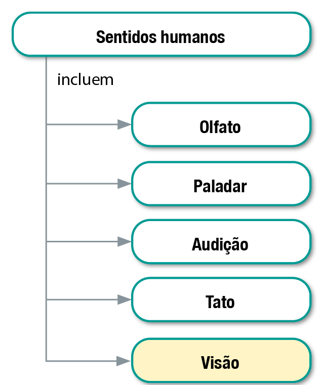 Diagrama. Sentidos humanos, incluem: olfato; paladar; audição; tato e visão. Este último está em destaque.