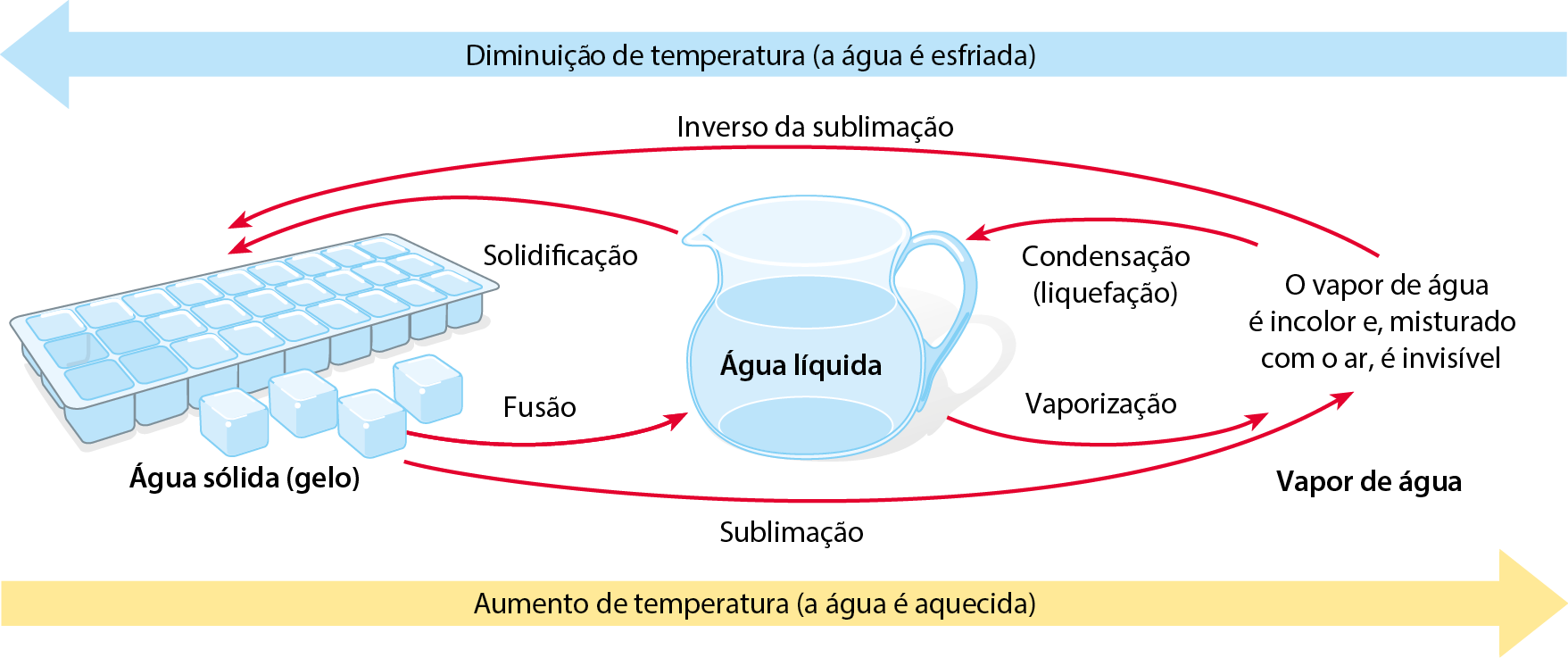 Esquema. Do lado esquerdo, uma forma de gelo, com algumas pedras do lado: água sólida (gelo). No centro, uma jarra de água líquida. Do lado direito, vapor de água (sem ilustração): o vapor de água é incolor e, misturado com o ar, é invisível. Seta do gelo para líquido: fusão. Do líquido para o gelo: solidificação. Do gelo para vapor: sublimação. Do vapor para o gelo: inverso da sublimação.  Do líquido para o vapor: vaporização. Do vapor para o líquido: condensação (liquefação). 
Da esquerda para a direita: Aumento de temperatura (a água é aquecida). Da direita para a esquerda: Diminuição de temperatura (a água é esfriada).