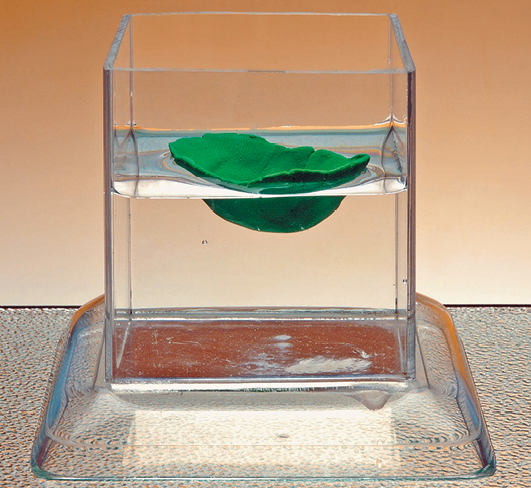 Fotografia. Um recipiente retangular transparente com água e um barquinho de massa de modelar verde boiando.