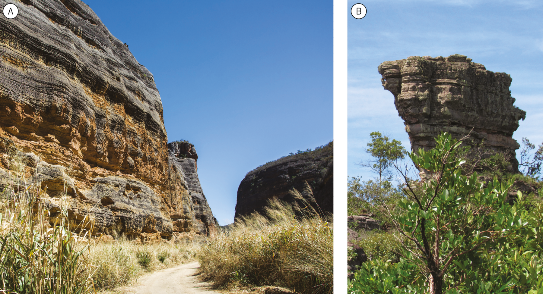 Fotografia A. Um caminho entre a vegetação rasteira. Do lado esquerdo, uma grande formação rochosa cinza e marrom com ranhuras horizontais e de topo plano.
Fotografia B. Formação rochosa acinzentada de topo plano e com ranhuras horizontais em meio a uma área com vegetação.