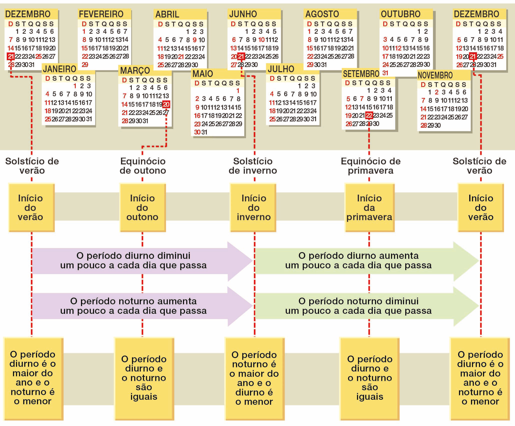 Esquema. Imagem de treze folhas de calendário representando os meses de dezembro, janeiro, fevereiro, março, abril, maio, junho, julho, agosto, setembro, outubro, novembro e dezembro. Há algumas datas destacadas com linhas de chamada. 21 de dezembro: solstício de verão, início do verão. O período diurno é o maior do ano e o noturno é o menor. 20 de março: equinócio de outono, início do outono. O período diurno e o noturno são iguais. 21 de junho: solstício de inverno, início do inverno. O período noturno é o maior do ano e o diurno é o menor. 22 de setembro: equinócio de primavera, início da primavera. O período diurno e o noturno são iguais. 21 de dezembro: solstício de verão, início do verão. O período diurno é o maior do ano e o noturno é o menor. Do solstício de verão ao solstício de inverno: o período diurno diminui um pouco a cada dia que passa. O período noturno aumenta um pouco a cada dia que passa. Do solstício de inverno ao solstício de verão: o período diurno aumenta um pouco a cada dia que passa. O período noturno diminui um pouco a cada dia que passa.