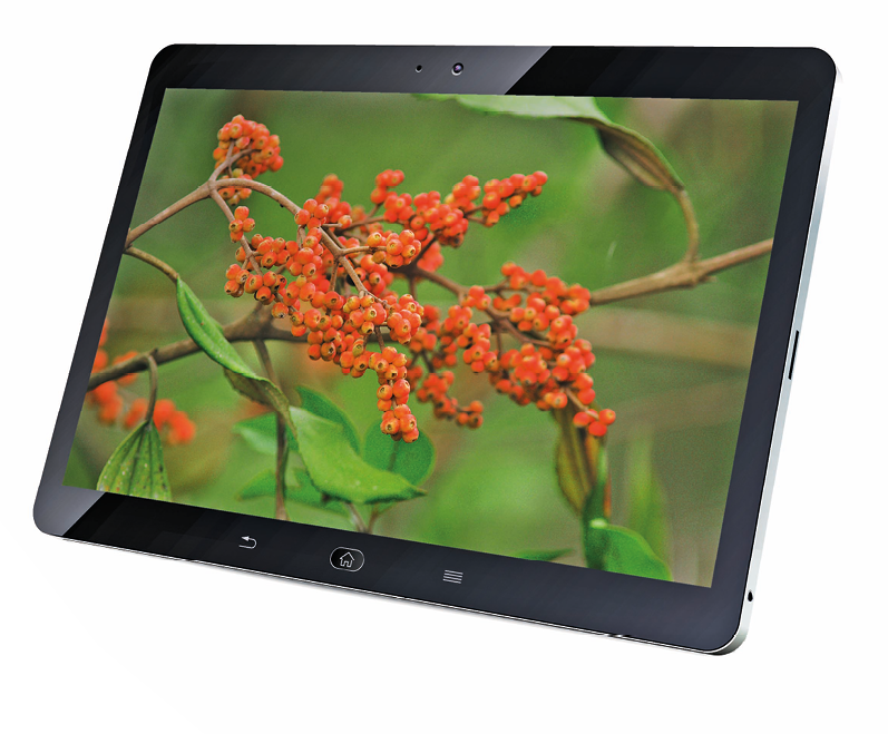 Fotografia. Um tablet preto na horizontal. Na tela, galho com pequenos frutos laranjas.